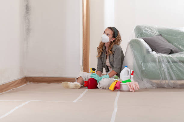Reliable Mold Inspection contractor in East Meadow, NY by WQB Mold Removal